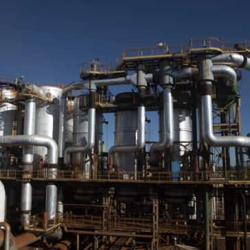 bp bioenergy abre inscrições para programas de atração de novos talentos