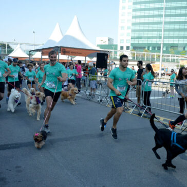 Seven Boys é copatrocinadora de corrida pet e cãominhada