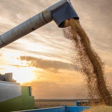 Safra recorde de grãos em 2025/26 pressiona demanda por temporários na “safra de verão”