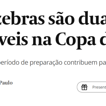 Por que as zebras são duas vezes mais prováveis na Copa do Mundo – Valor Econômico
