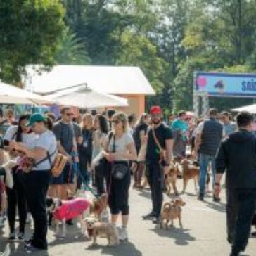 Petz e Cobasi levam ativações e arte para o Festival Pet 2026