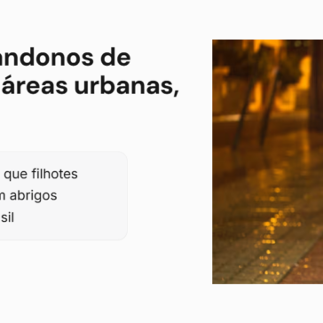 Mais de 80% dos abandonos de animais ocorrem em áreas urbanas, aponta pesquisa