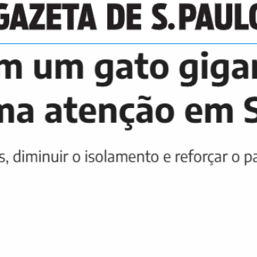 Descansar em um gato gigante? Nova atração chama atenção em SP