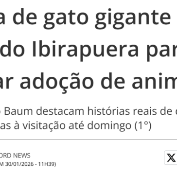 Escultura de gato gigante invade entorno do Ibirapuera para incentivar adoção de animais