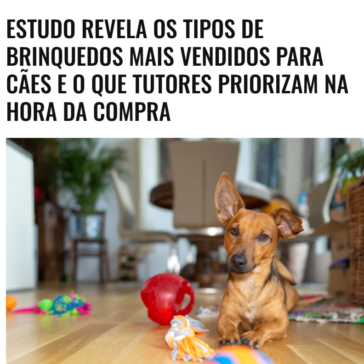 Estudo revela os tipos de brinquedos mais vendidos para cães e o que tutores priorizam na hora da compra