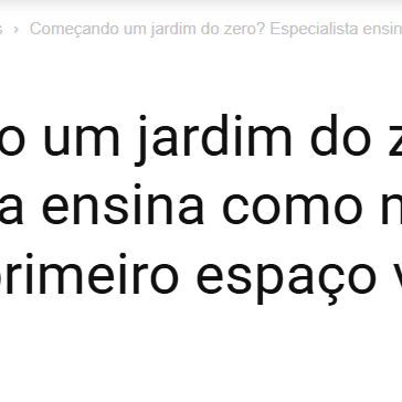 Começando um jardim do zero? Especialista ensina como montar e cuidar do primeiro espaço verde