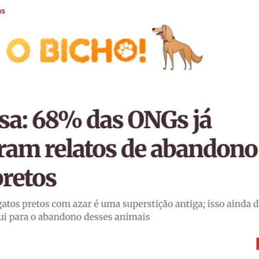 Pesquisa: 68% das ONGs já receberam relatos de abandono de gatos pretos