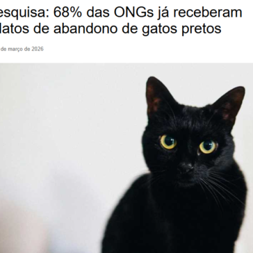 Pesquisa: 68% das ONGs já receberam relatos de abandono de gatos pretos