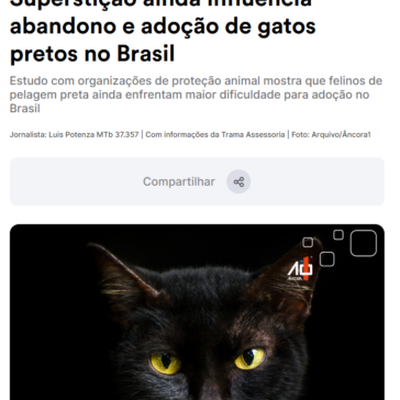 Superstição ainda influencia abandono e adoção de gatos pretos no Brasil