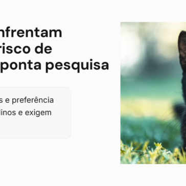 Gatos pretos ainda enfrentam preconceito e maior risco de abandono no Brasil, aponta pesquisa