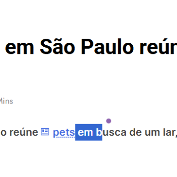 Evento de adoção em São Paulo reúne pets em busca de um lar