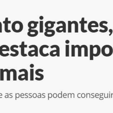 Com livro e gato gigantes, exposição na Praça Mauá destaca importância da adoção de animais