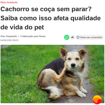 Cachorro se coça sem parar? Saiba como isso afeta qualidade de vida do pet