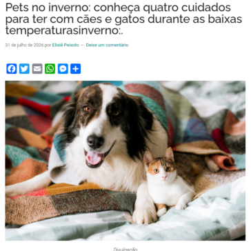 Pets no inverno: conheça quatro cuidados para ter com cães e gatos durante as baixas temperaturasinverno
