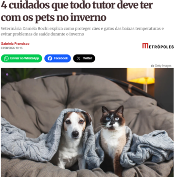 4 cuidados que todo tutor deve ter com os pets no inverno