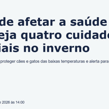 Frio pode afetar a saúde dos pets; veja quatro cuidados essenciais no inverno